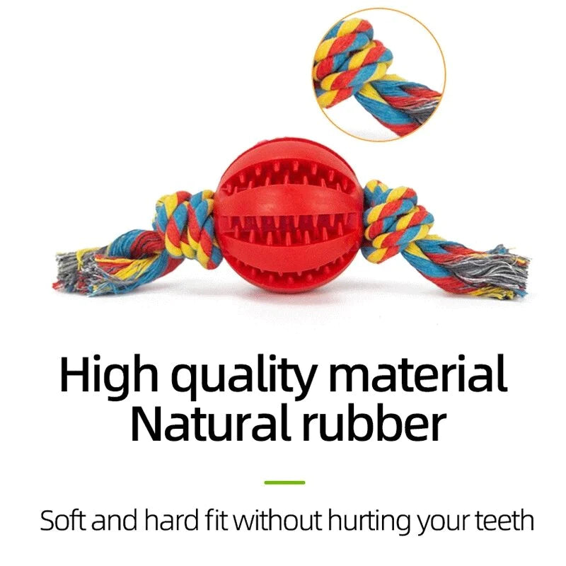 Pallina interattiva per cani – Giocattolo resistente da masticare e pulizia denti, con consegna in giornata