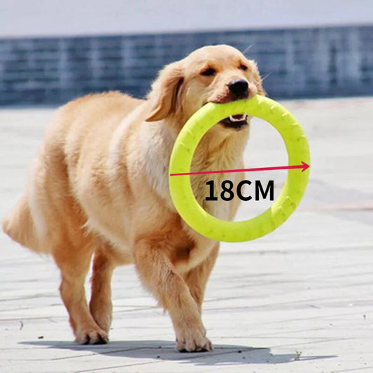 Disco volante EVA 18 cm per cani – Anello da addestramento resistente e galleggiante