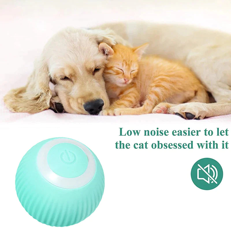 Pallina elettrica interattiva per cani e gatti