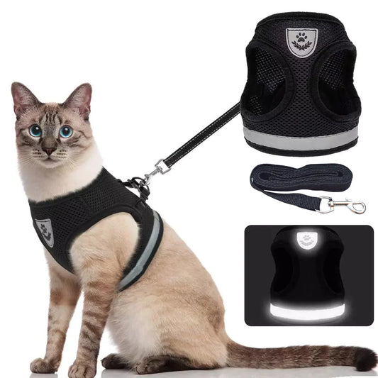 Pettorina traspirante con guinzaglio – Antifuga, regolabile e riflettente per gatti e cuccioli